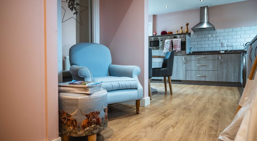 Photo of Fallow Deer