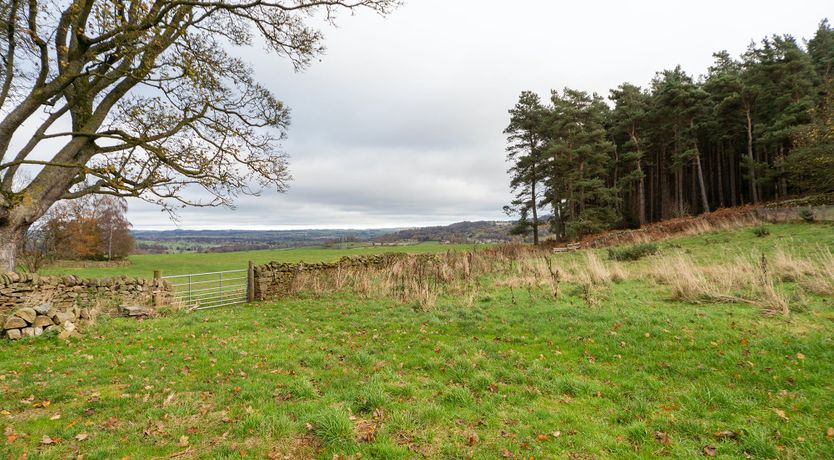 Photo of A Stitch on Tyne