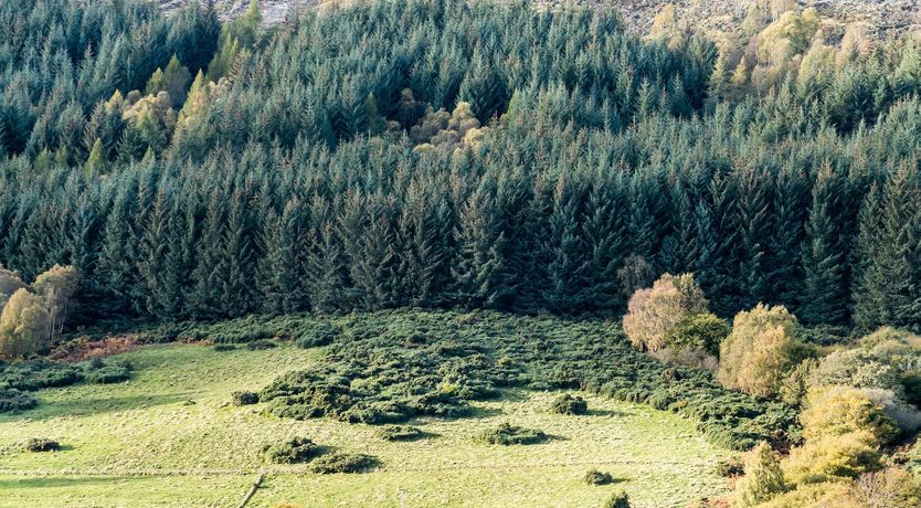Photo of Member of the Clergy