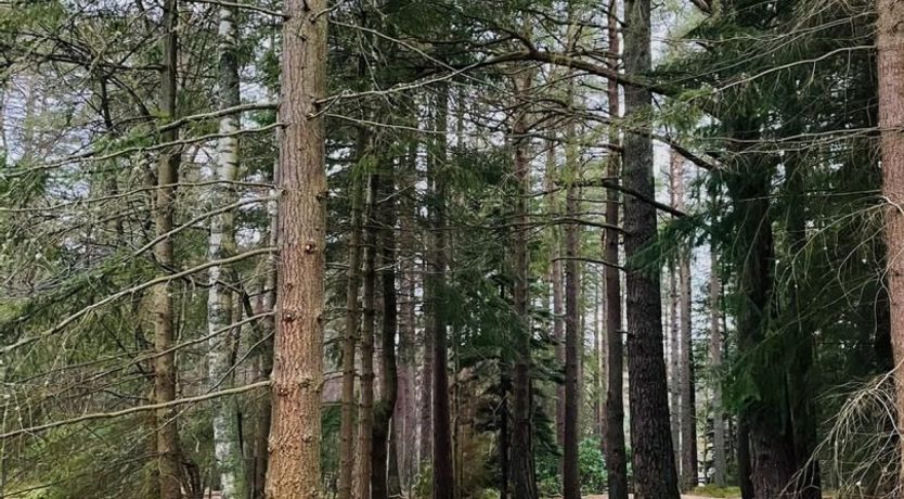 Photo of Fit for a Queen