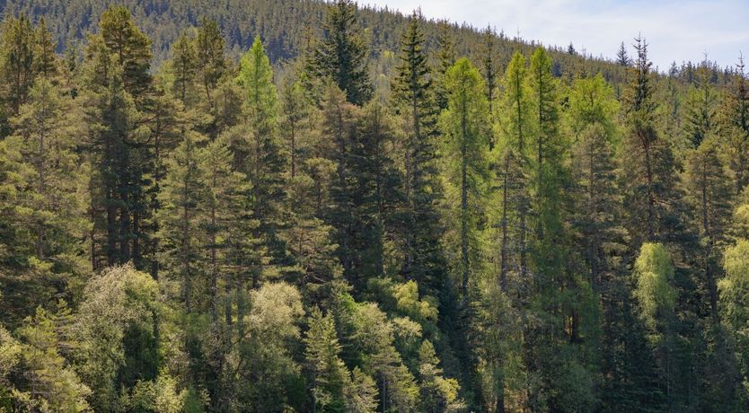 Photo of Fit for a Queen