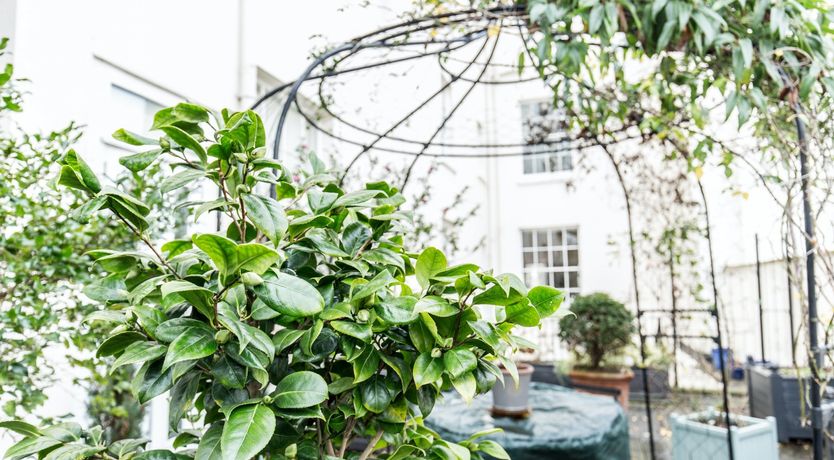 Photo of The Marlbrough