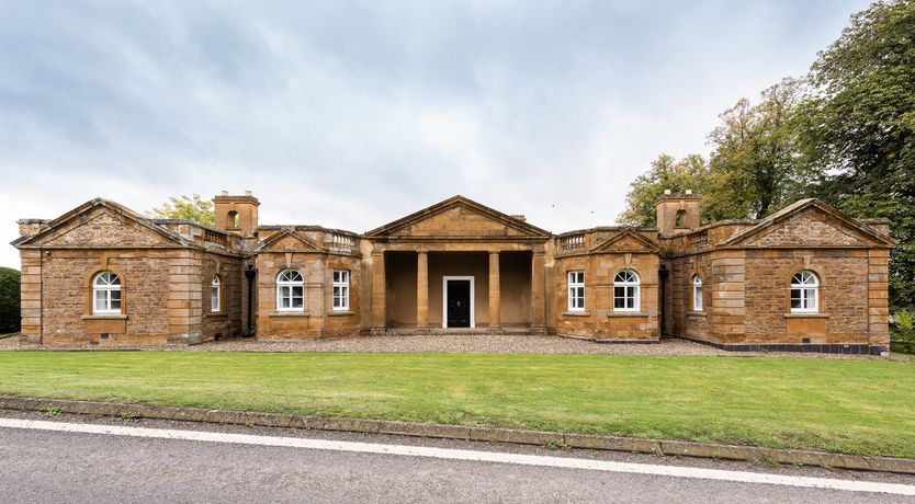 Photo of Dandelions & Daisies