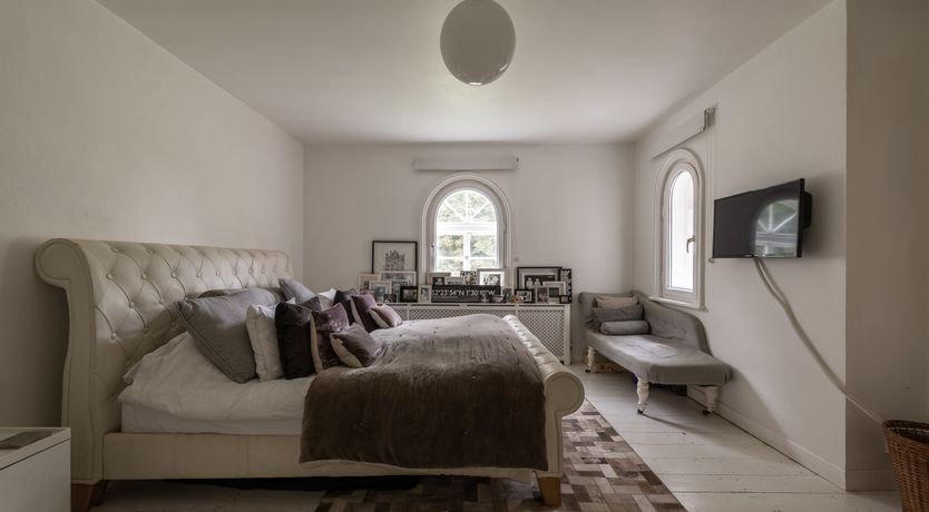 Photo of Dandelions & Daisies