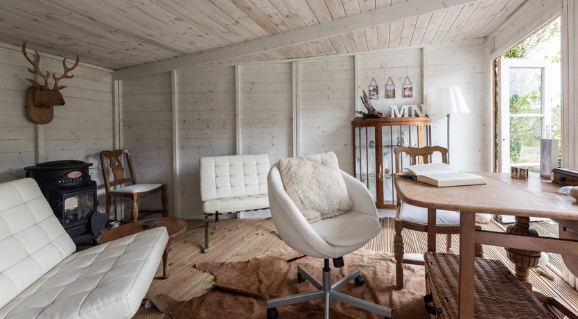 Photo of Dandelions & Daisies