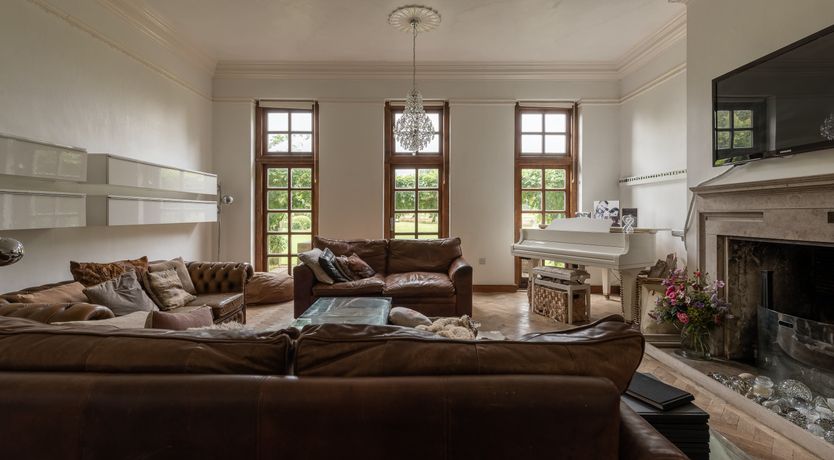 Photo of Dandelions & Daisies