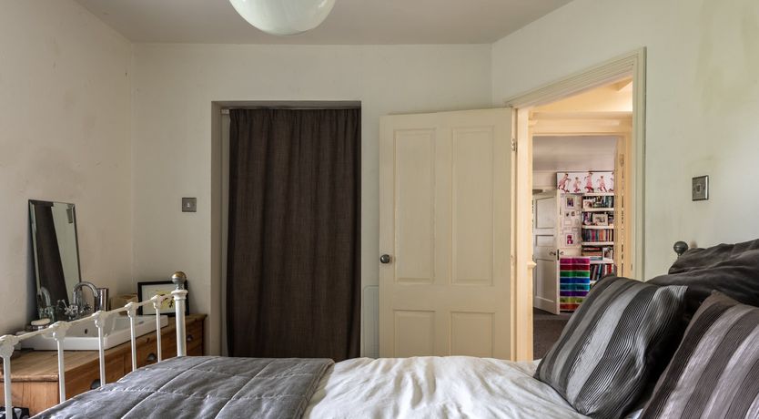 Photo of Dandelions & Daisies