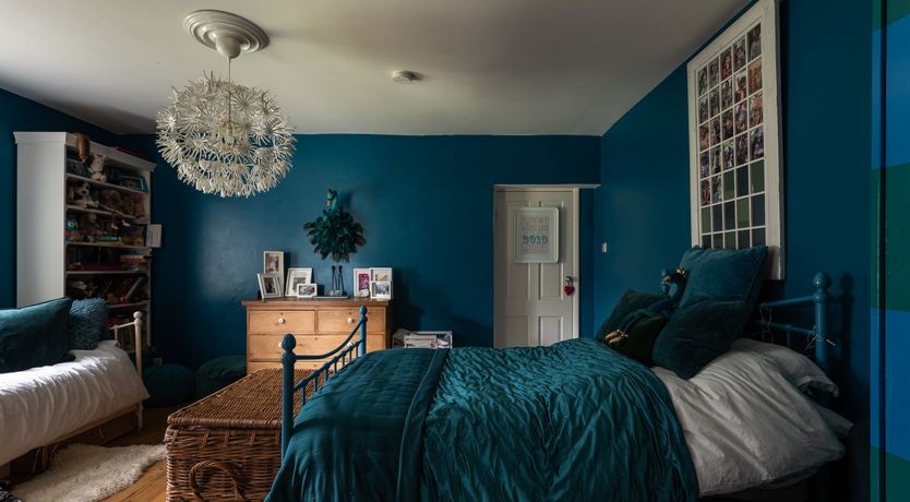 Photo of Dandelions & Daisies