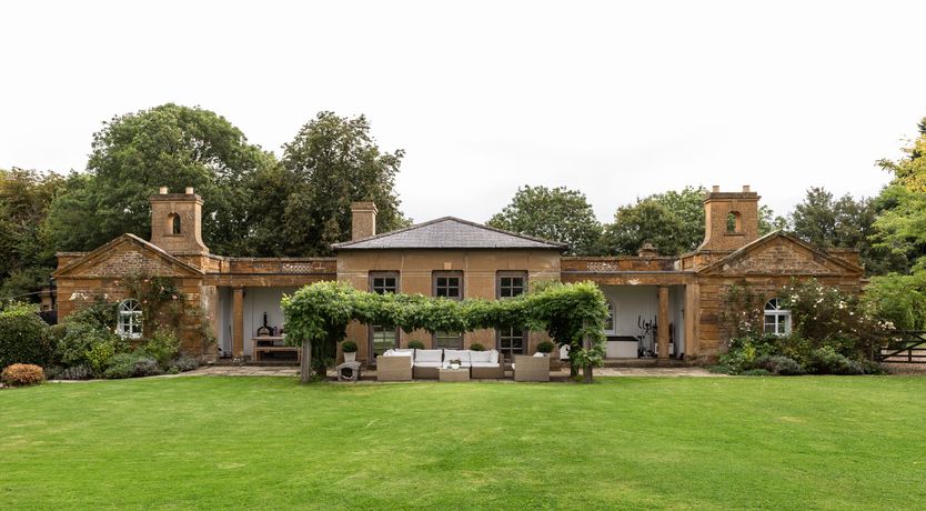 Photo of Dandelions & Daisies