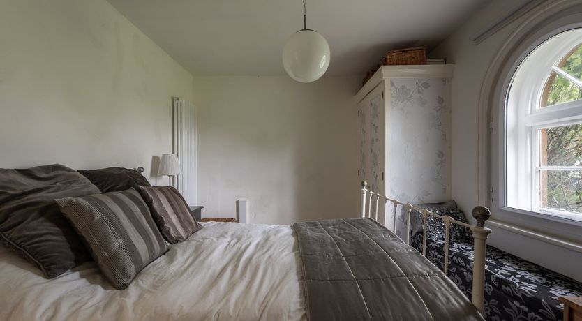 Photo of Dandelions & Daisies