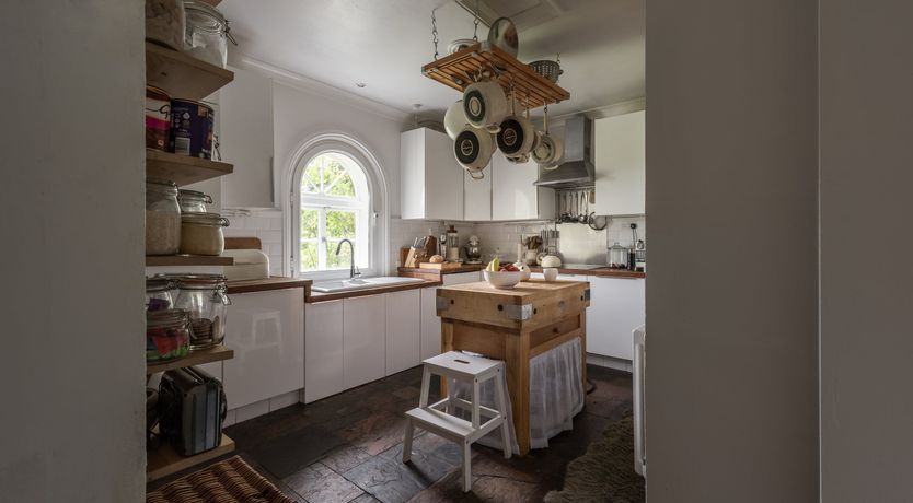 Photo of Dandelions & Daisies