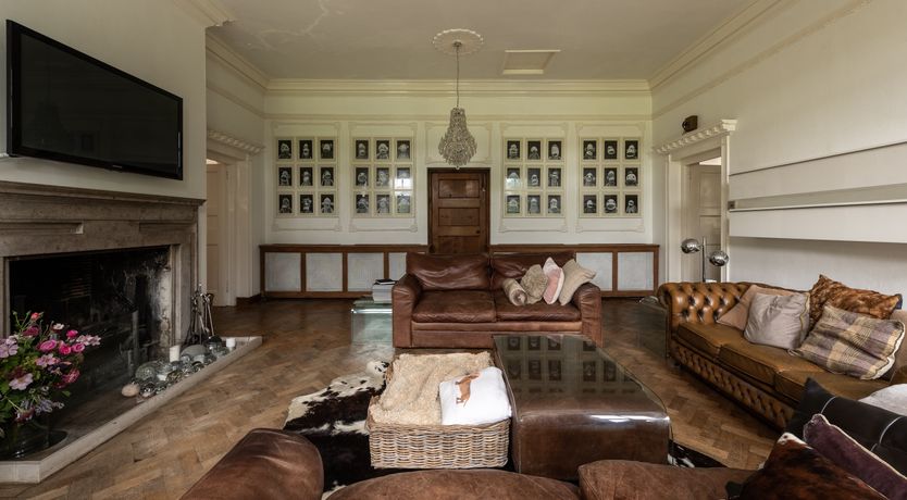 Photo of Dandelions & Daisies