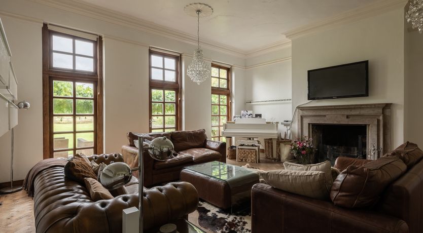 Photo of Dandelions & Daisies