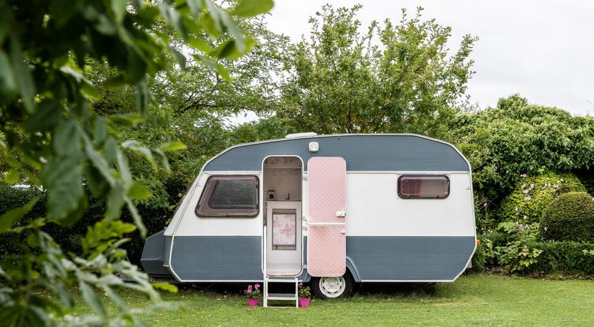 Photo of Dandelions & Daisies