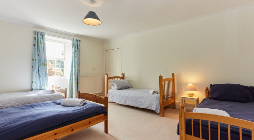 Photo of Lapwings & Deer