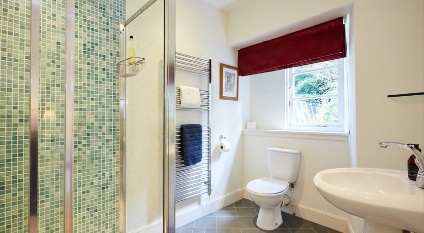 Photo of Lapwings & Deer