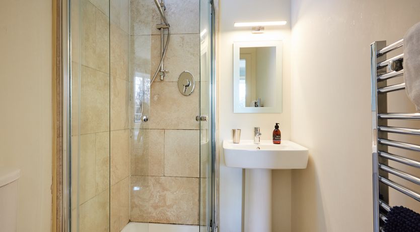 Photo of Lapwings & Deer