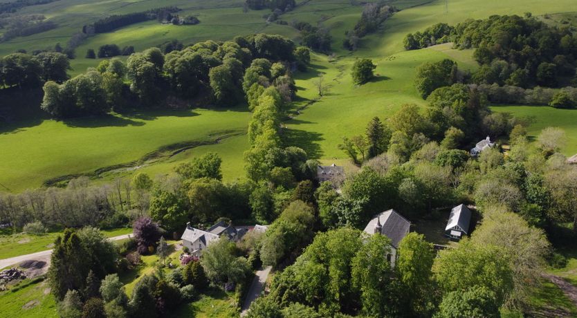 Photo of Lapwings & Deer