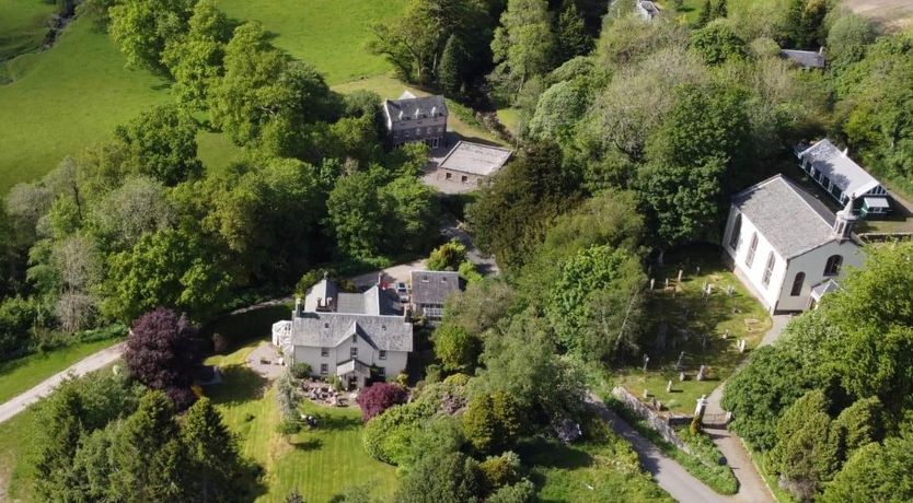 Photo of Lapwings & Deer