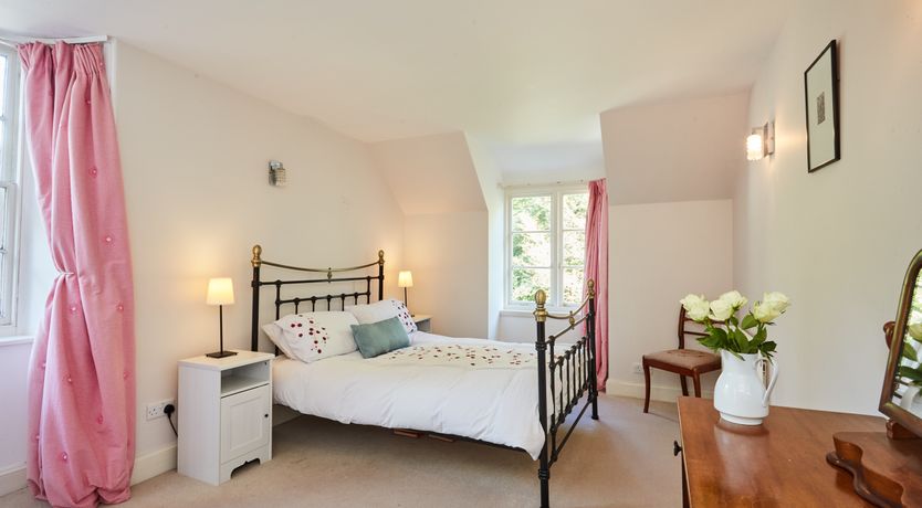 Photo of Lapwings & Deer