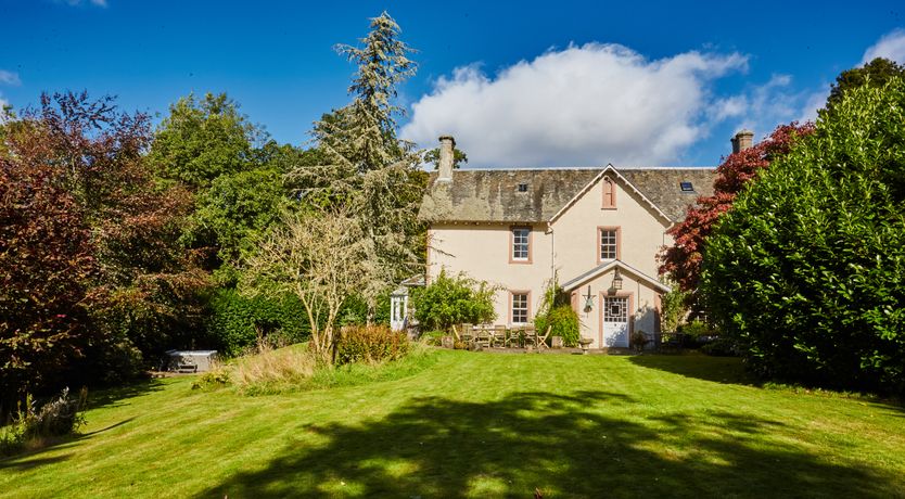 Photo of Lapwings & Deer