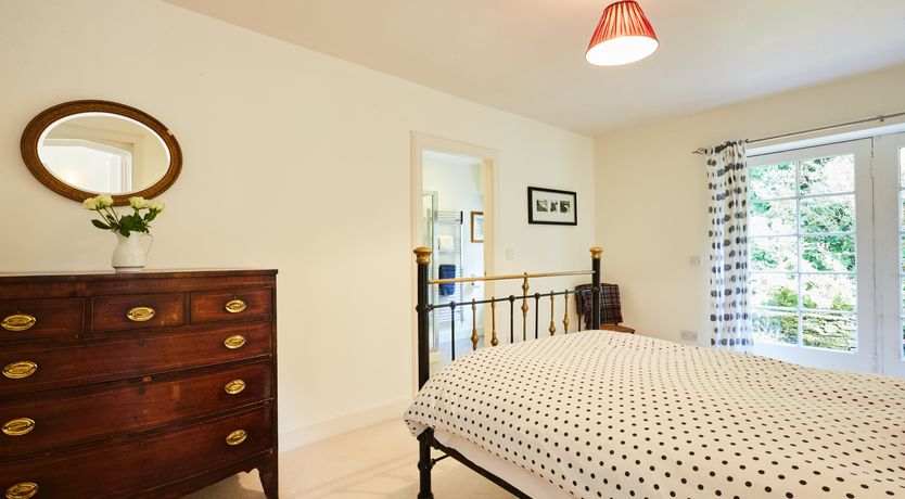 Photo of Lapwings & Deer