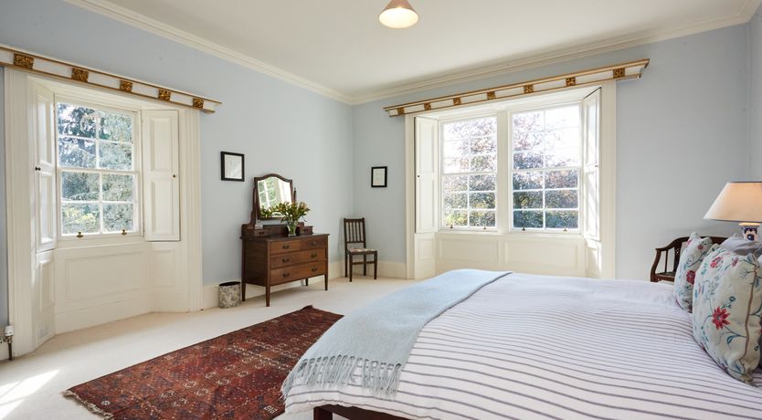 Photo of Lapwings & Deer