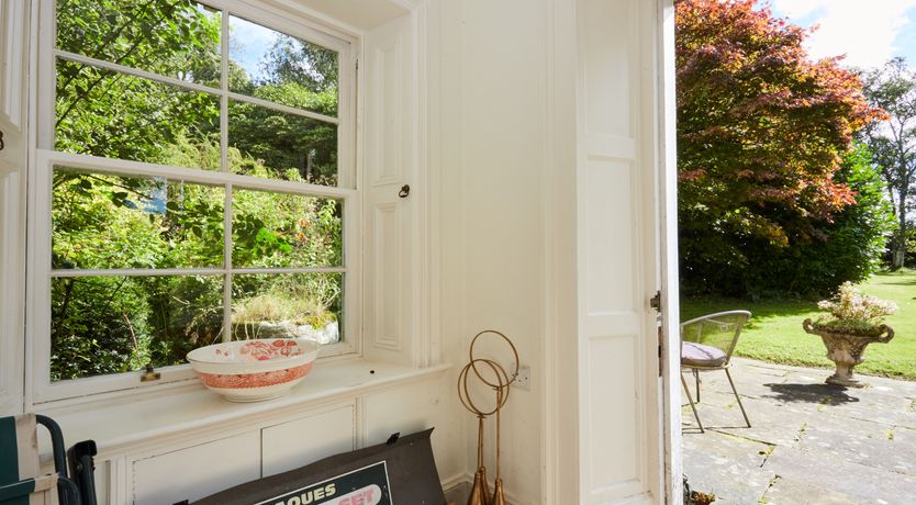 Photo of Lapwings & Deer