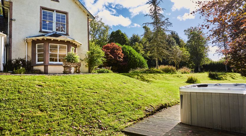 Photo of Lapwings & Deer