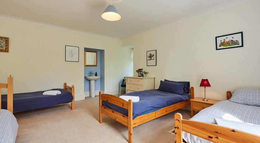 Photo of Lapwings & Deer