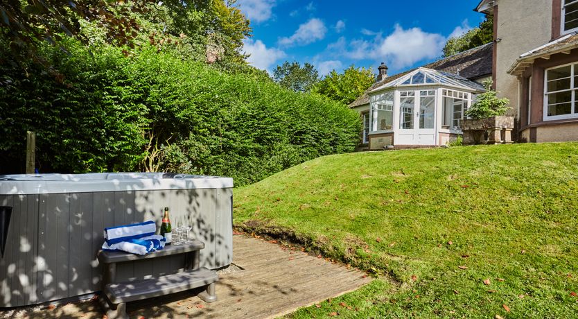 Photo of Lapwings & Deer