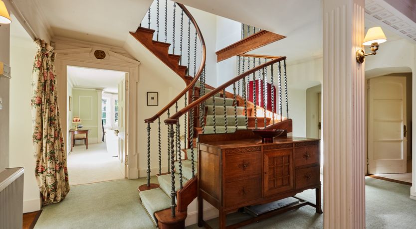 Photo of Lapwings & Deer