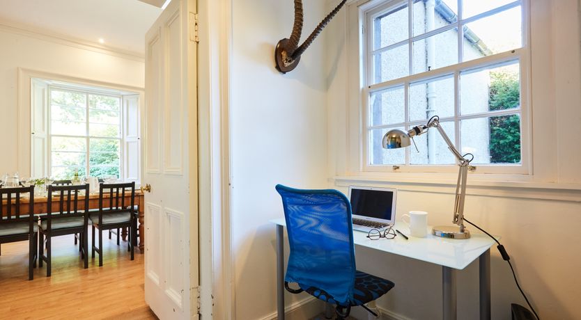 Photo of Lapwings & Deer