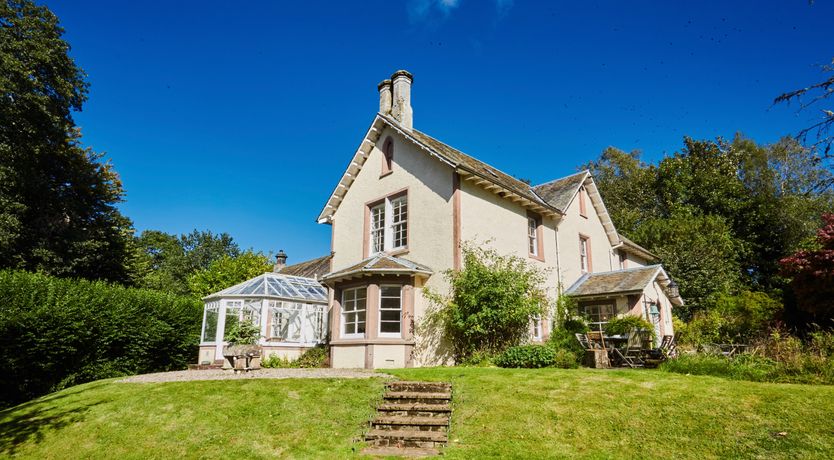 Photo of Lapwings & Deer
