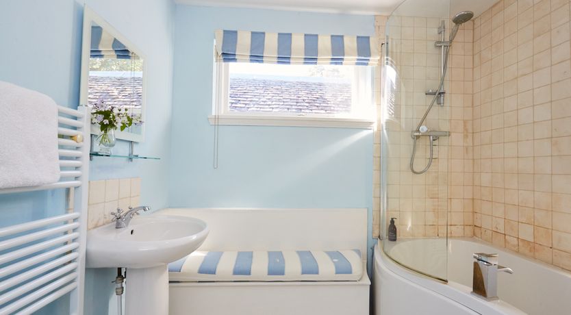 Photo of Lapwings & Deer