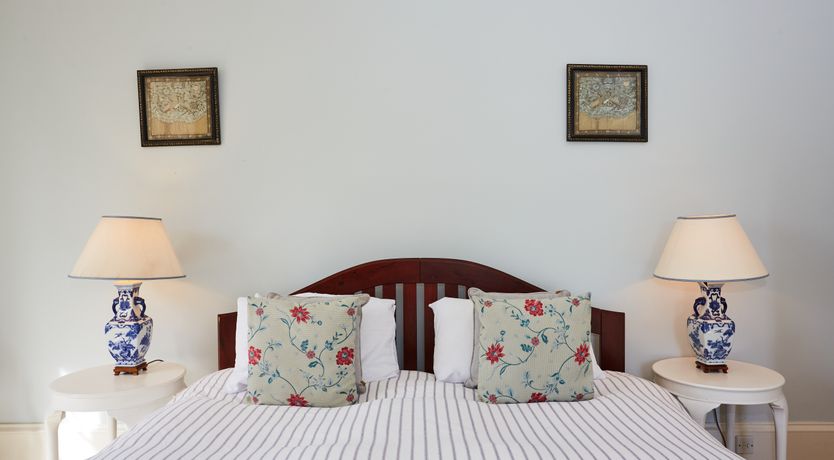 Photo of Lapwings & Deer