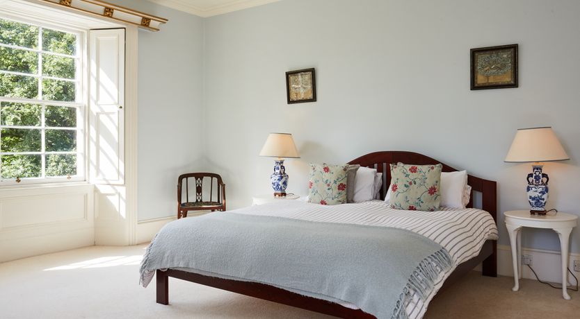 Photo of Lapwings & Deer