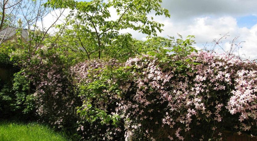 Photo of House on the Green