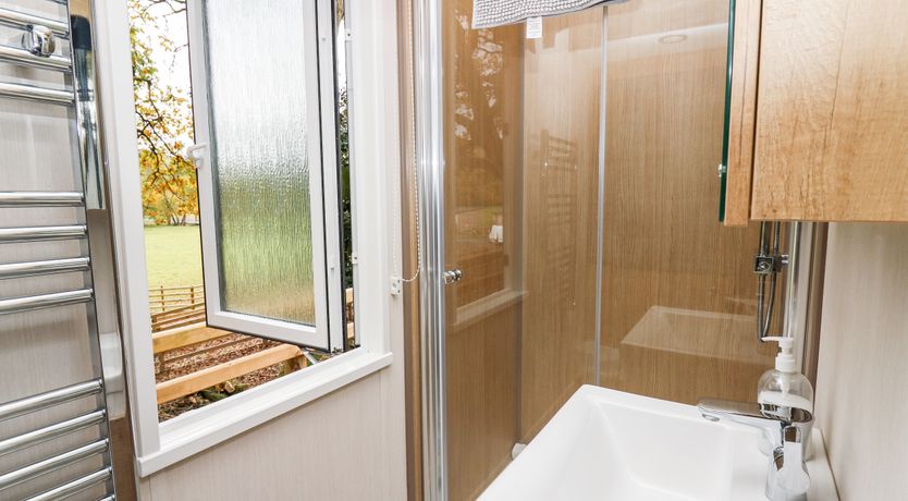 Photo of Oak Tree View