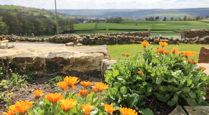 Photo of The Piggery