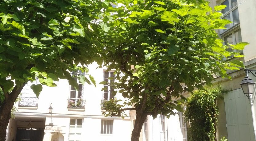 Photo of Courtyard Vert