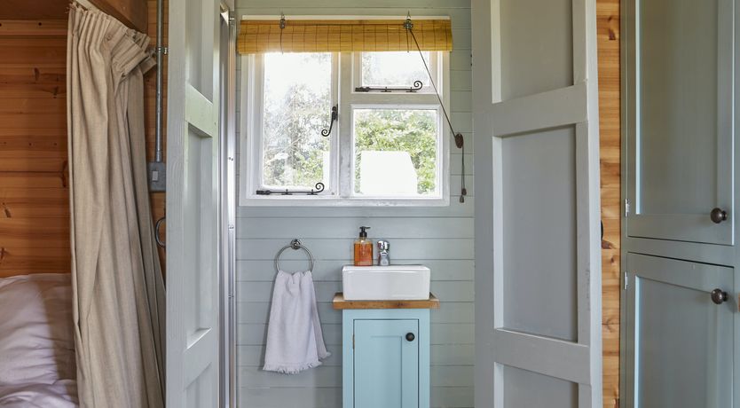 Photo of Under the Stars