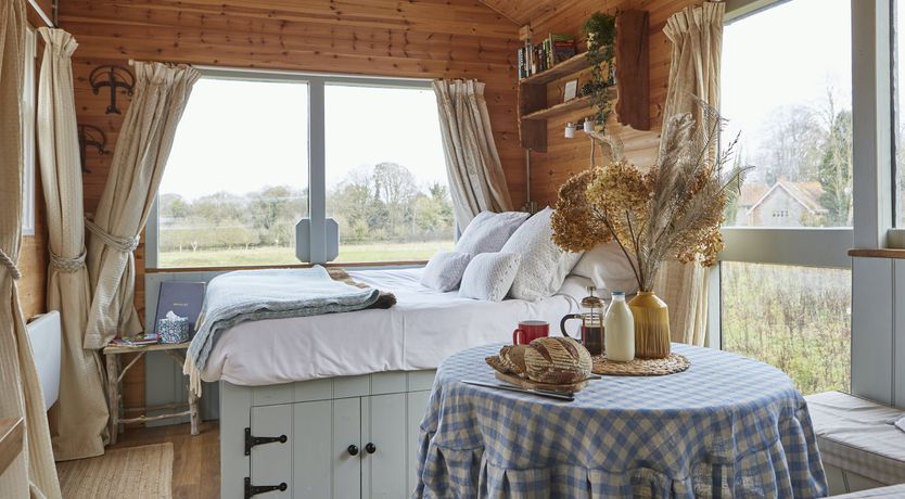 Photo of Under the Stars