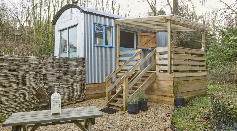 Photo of Under the Stars