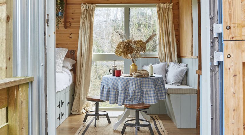 Photo of Under the Stars