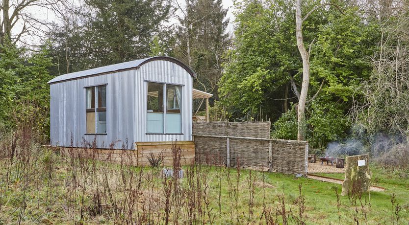 Photo of Under the Stars