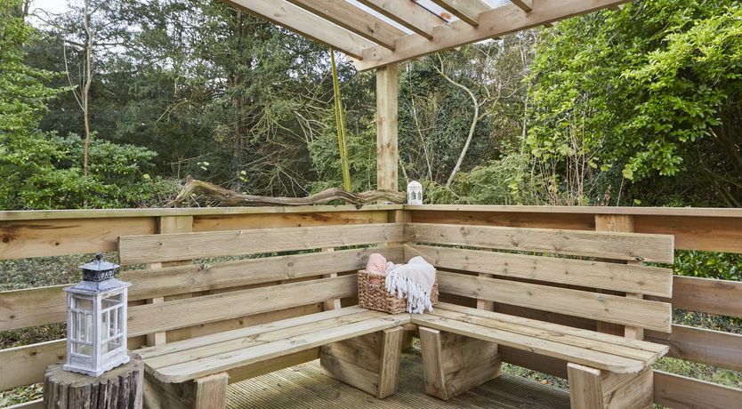 Photo of Under the Stars