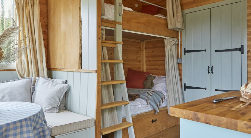 Photo of Under the Stars