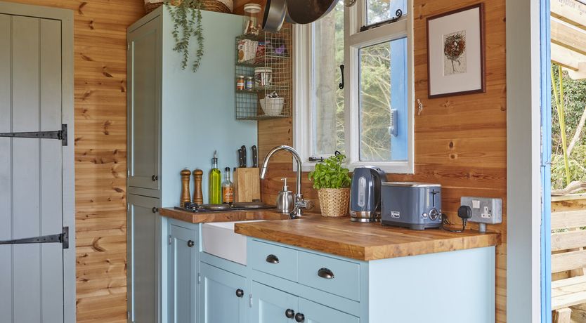 Photo of Under the Stars