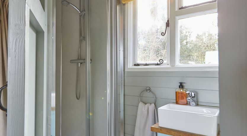 Photo of Under the Stars